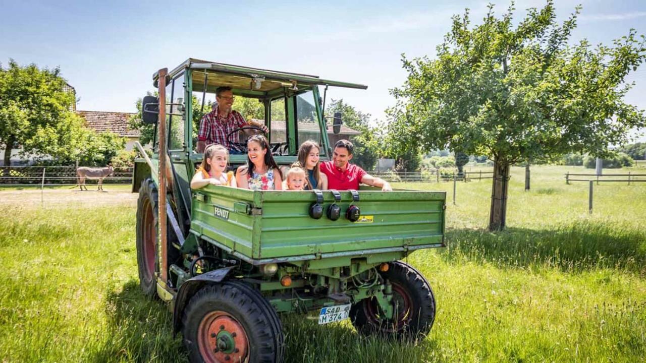 Urlaub Am Regen - Ferienhof Dirnberger Nittenau Esterno foto