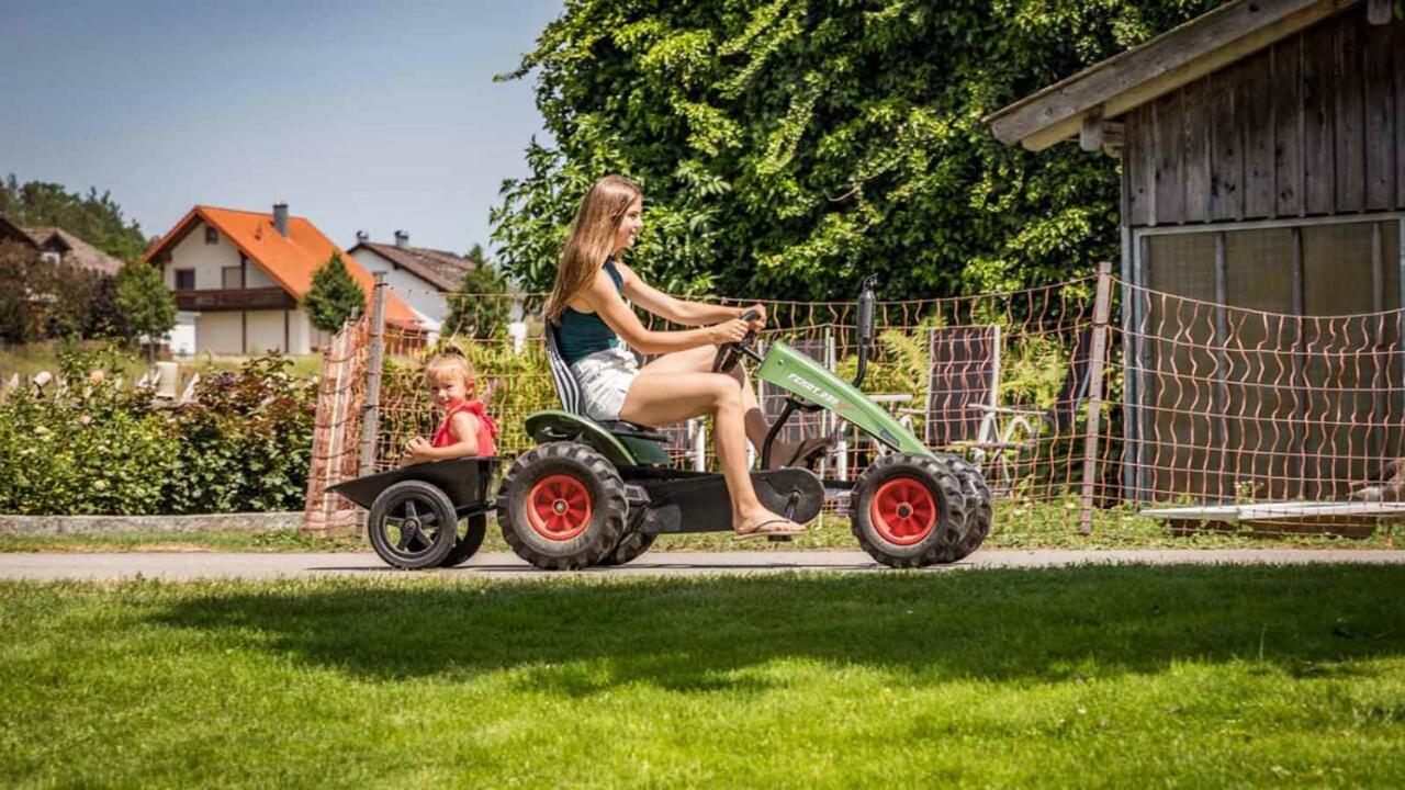 Urlaub Am Regen - Ferienhof Dirnberger Nittenau Esterno foto